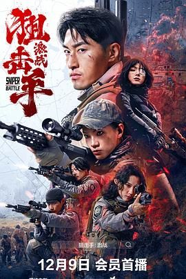 狙击手:激战