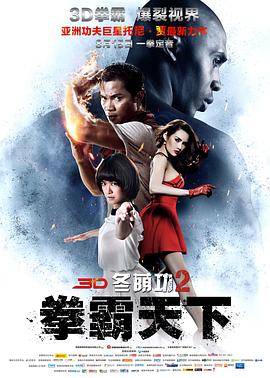冬荫功2:拳霸天下(国语版)