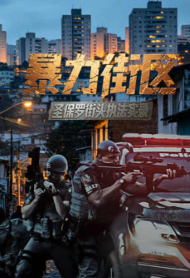暴力街区:圣保罗街头执法实录