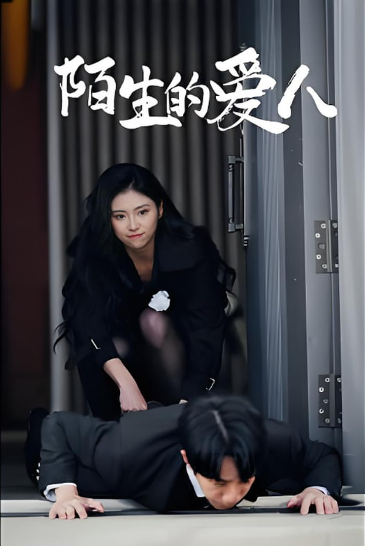 陌生的爱人